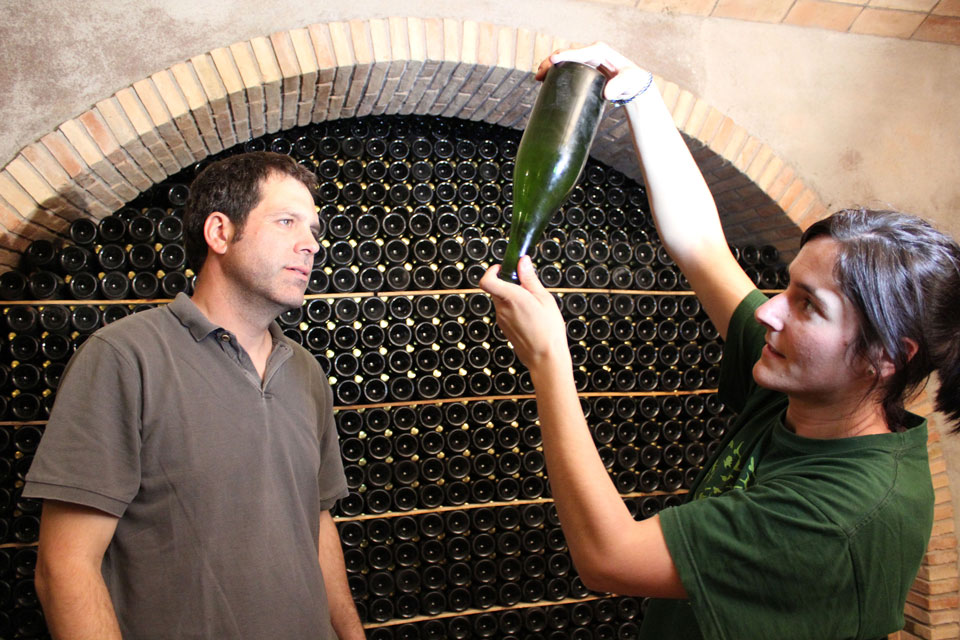 Extraccions Descregut