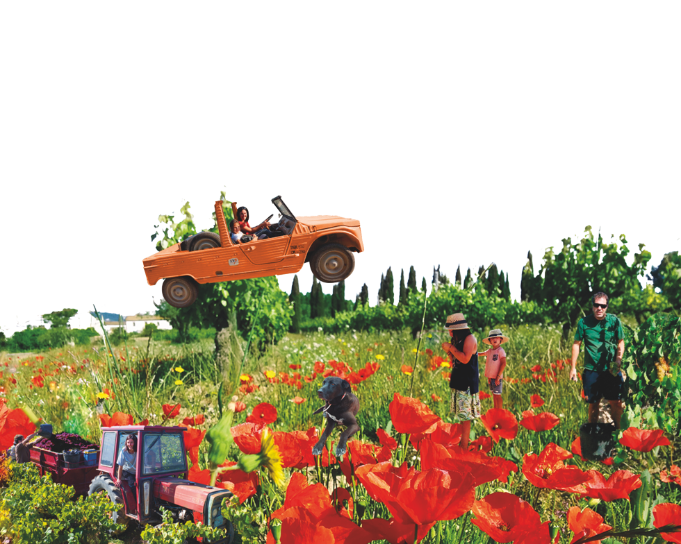 Atrevit, vi de mínima intervenció del celler Descregut al Penedès