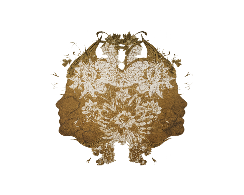 Vinomi, vi de mínima intervenció del celler Descregut al Penedès