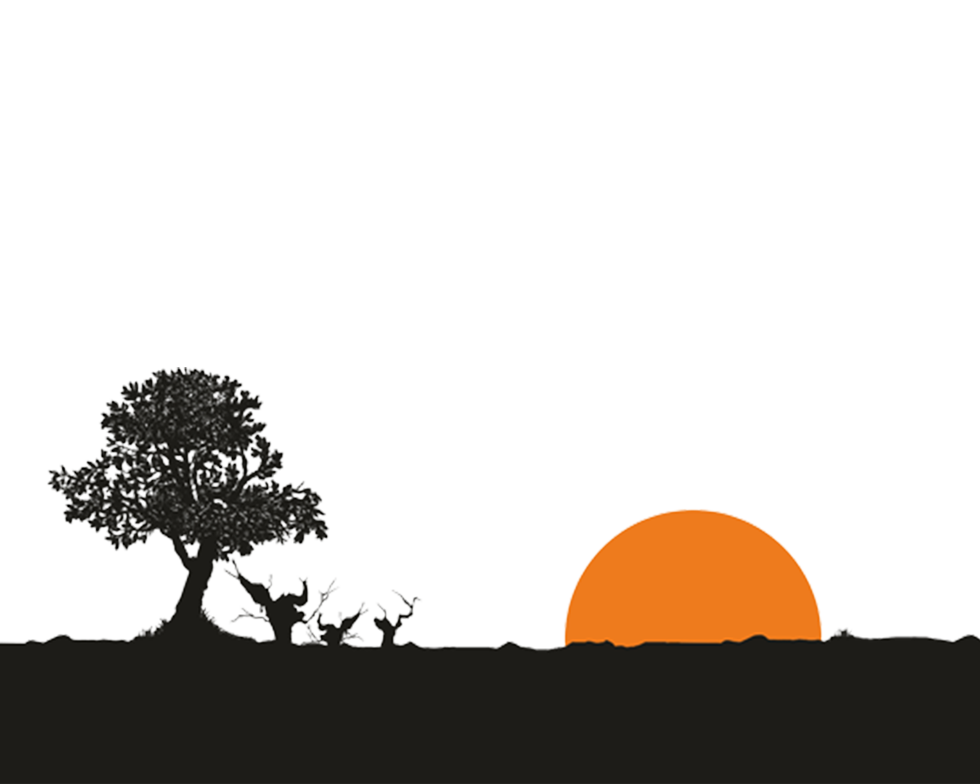 Horafosca, vi de mínima intervenció del celler Descregut al Penedès