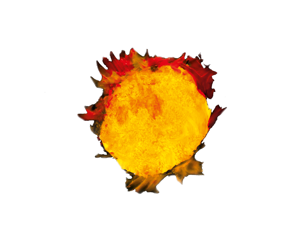 Socarrada, vi de mínima intervenció del celler Descregut al Penedès