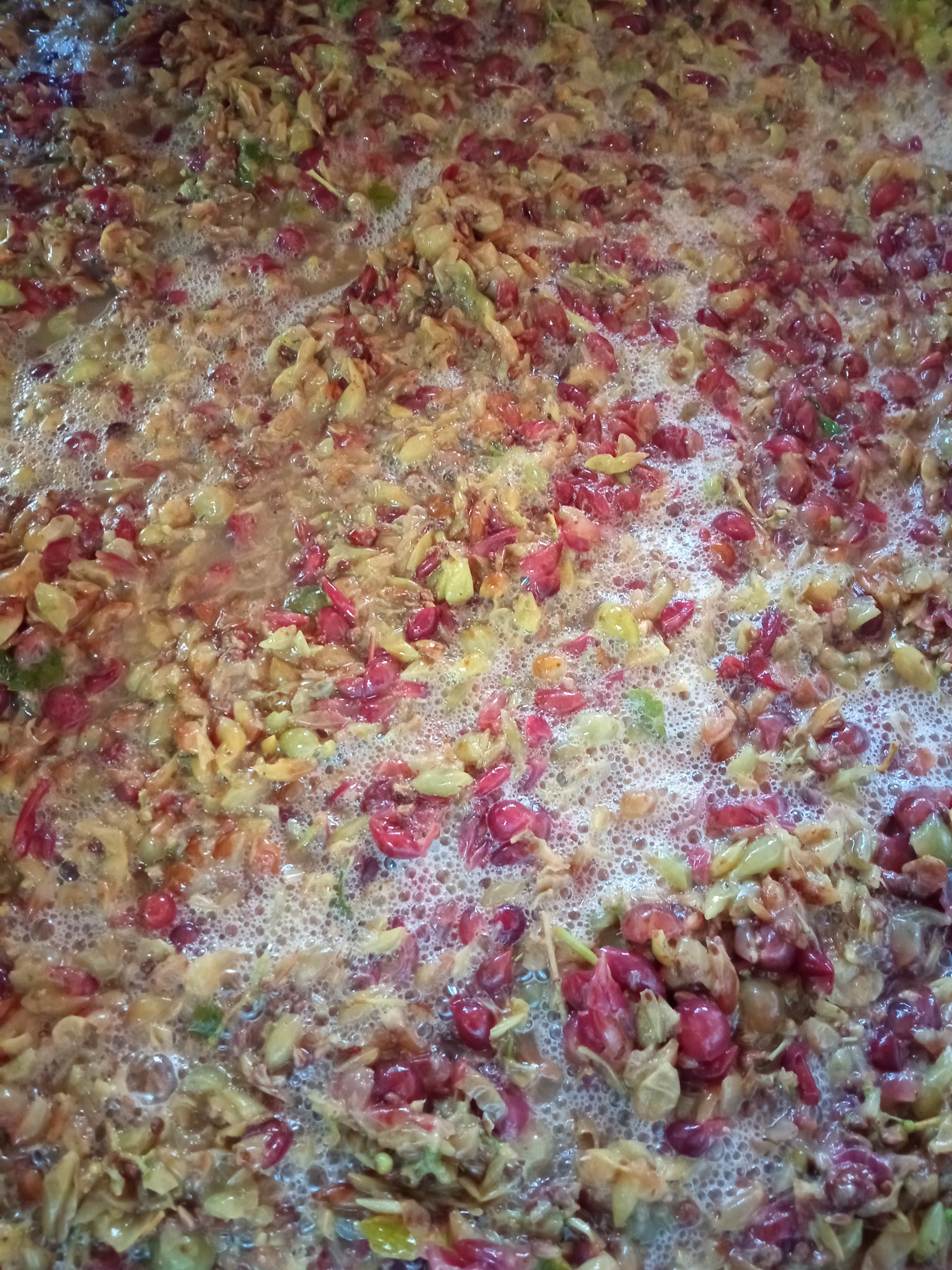 Extraccions Descregut