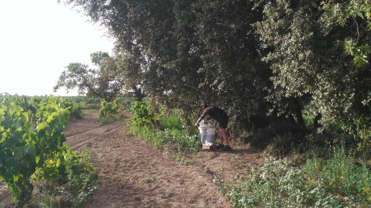 Vinificació respectuosa